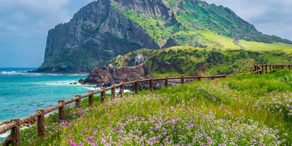 Jeju 