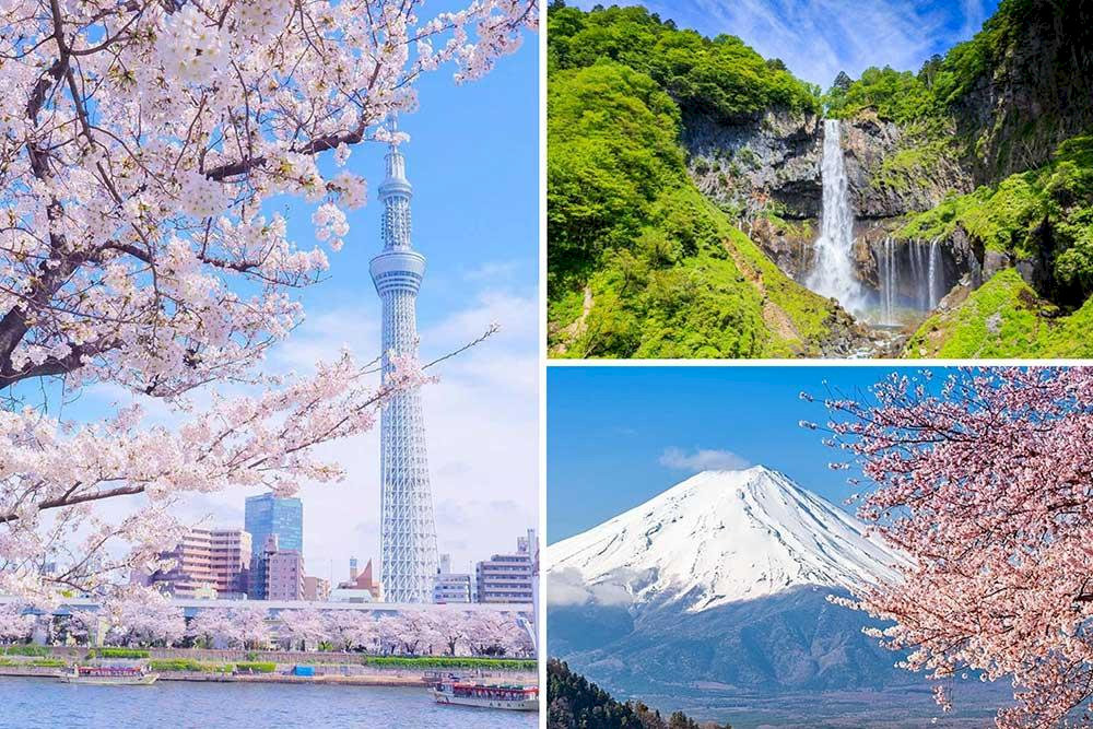Các địa điểm du lịch nổi tiếng khu vực Tokyo và vùng Kanto