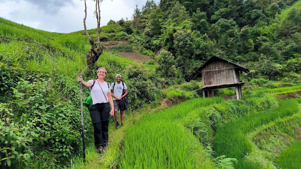 Trekking in Sin Chai offers an incredible opportunity to explore the untouched beauty of the Hoang Lien Son mountains and surrounding forests