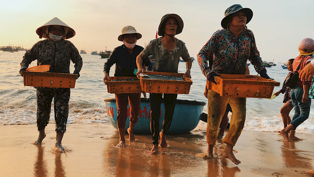 If you visit the fishing village in the early morning, you’ll get to experience the bustling seafood market right by the sea