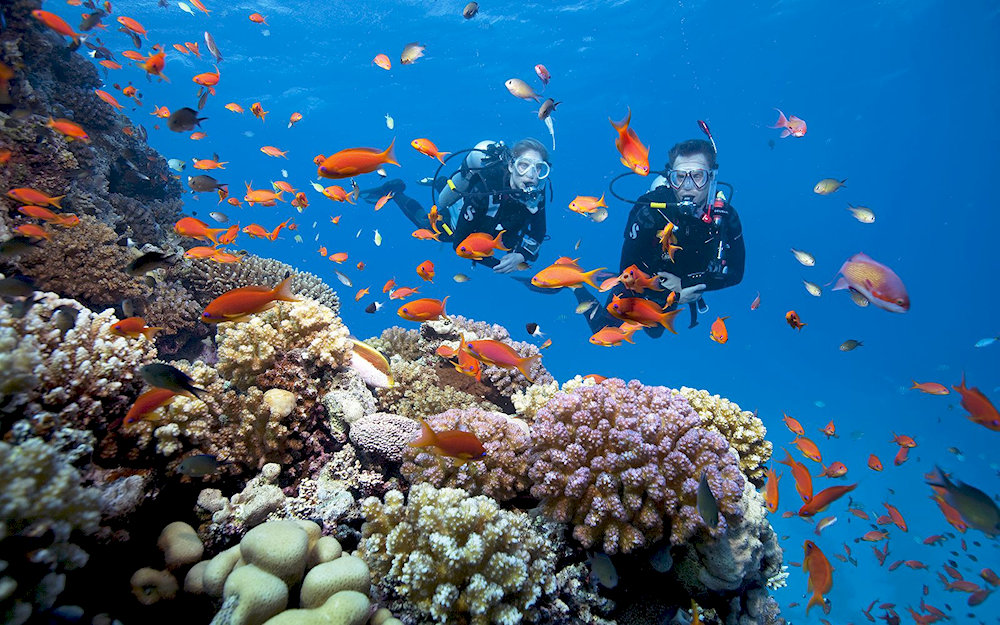Snorkeling at Ky Co Beach offers a glimpse into the vibrant underwater world
