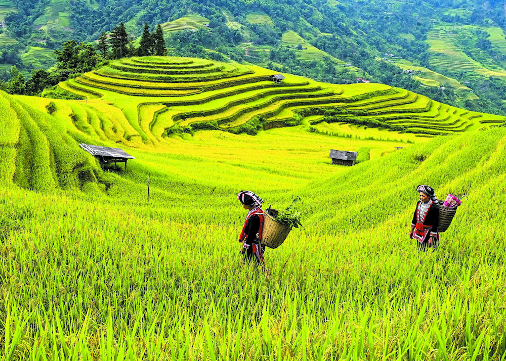 A place where visitors can enjoy peaceful scenery and explore the local culture