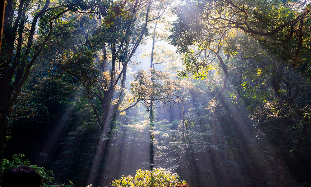 ba vi national park